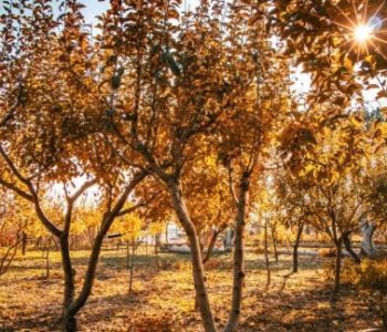 Осіннє рівнодення: 3 обряди на щастя та гороскоп для всіх знаків Зодіаку